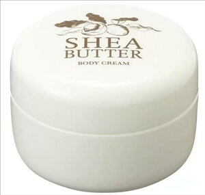 SB VAo^[ {fB[N[140g x_[̍