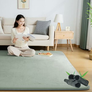 Softime J[ybg O Ɍ25mm O}bgh  |YL 200×250cm 3 O~ ~ߕt h_j R hL n~  I[V[YK g[ zbgJ[ybgΉ ~}