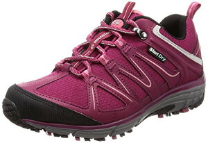 [[X^[] L h SPLT SDL01 fB[X `F[ 23 cm 4E