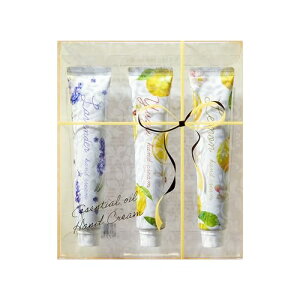 fC[A} nhN[ ZbgA (20g×3{) fC[A}Wp VgX kn x_[ n[u t[ { ێ nhPA Mtg v[g nhPA 