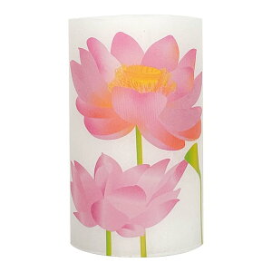 L[t(Q-FLA) LED Lh E\N M ͂ dr ΂gȂ S CeA ~ ފ d  783999