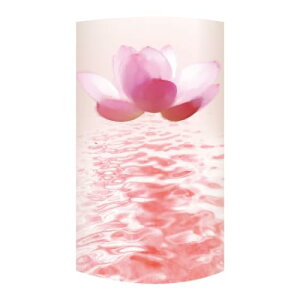 L[t(Q-FLA) LED Lh E\N M [^X dr ΂gȂ S CeA ~ ފ d  749421