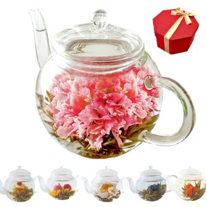 SaikaLife Ԃ̂ڂ eB[|bgZbg×1 ̓  Mtg v[g H| Ԓ J[l[V a  j TvCY eB[Zbg  ԍ炭