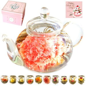 e[ ɐlC  Mtg(J[l[V Ԓ 10+KX eB[|bg+ؓi)DZbg H|  l j a v[g  ` i   pI 