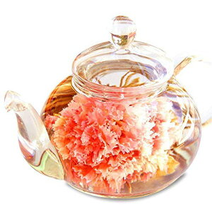 e[ ɐlC  Mtg(J[l[V Ԓ 10+KX eB[|bg+ؓi)DZbg H|  l j Ԃ a v[g  ` i   