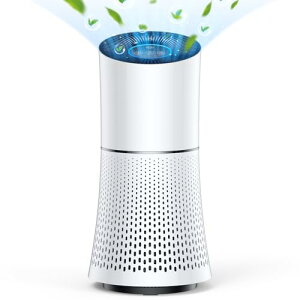 y2025VoE͏򉻁z C@ ԕ ^ ybg ^oR EL@ 3d HEPA tB^[ ^C@ ͒EL AM[ ΍ PM2.5 W  ^oRz@ 3iKʐݒ 