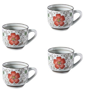 c(Nishida)GXvb\Jbv 4Zbg   ֕ yAJbv aH WOK H@Ή R[q[ JbvZbg ԕ JtF (Ԃ, 150ml)