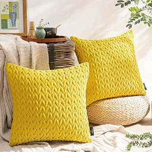 Phantoscope NbVJo[ xxbgv[c k 2  e͐ LeBO \t@w   n2WAY CG[ 45×45cm