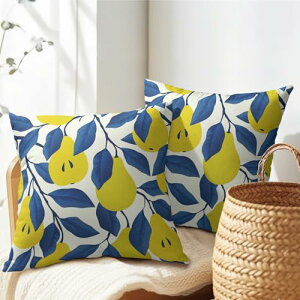 PAKAZA NbVJo[ ΐF̃ZCEiV N₩ȃu[̗t t[c N₩ ʕ Č |bv    45×45cm k NX}X Mtg a ̓ ̓ CeA