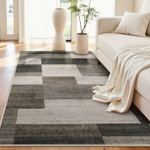 HAOCOO ���O �J�[�y�b�g �􂦂� 120��160cm 1�� �I�[���V�[�Y���K�p �k���� ���_�� �z�b�g�J�[�y�b�g�Ή� �ӂ�ӂ� ����~�� �h�� �R�ۖh�L ���r���O �_�C�j���O ���O�}�b�g �y�� ���U�C�N �J���[