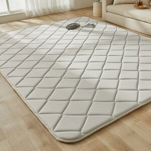 ACXI[} yЂ蒷WFz ėpO ڐG⊴WF^Cv 185×240 ENbVO J[ybg ⊴ ėpJ[ybgėp}bg ėp ACRRG-1824 x[W