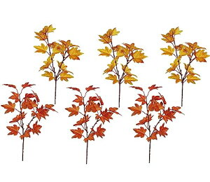 siawadeky lHgt  JGf̗t H 6{Zbg nEB 胊[X H n̋G Ӎ  X  Be nEB  ObY 39cm