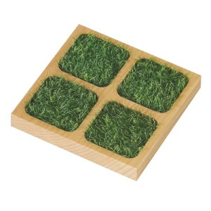 TOSMU R[X^[ 1  cڃR[X^[ 9cm× 9cm lp ؐ i` VR 킢  7000