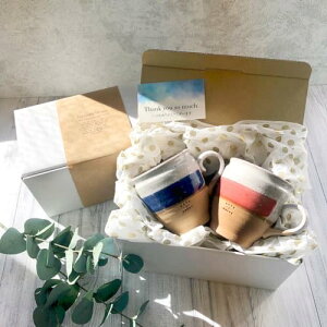 (Styleneo) }OJbv v[g yAMtg }O Zbg  e300ml { (R[q[BLxR[q[RD) Vv 肪Ƃ bZ[WJ[h