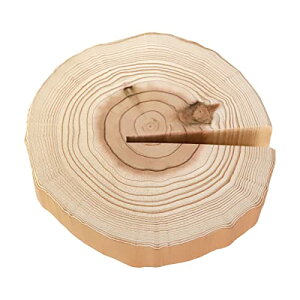 鍋敷き 天然木製 丸太鍋敷 切り株 杉 おしゃれ 天然素材 年輪 北欧風 鍋敷 なべしき 鍋置き 土鍋置き 敷板 丸 円形 無塗装 花台 ディスプレイ アウトドア キャンプ キッチン用品 雑貨 小物 イ