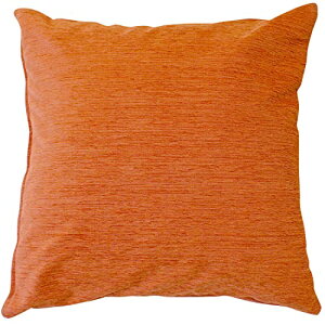 [iCg NbVJo[ ufBAv 45×45cm IW t@Xi[   R[fC ͗lւ ʔNgp 􂦂 MNS641275-17