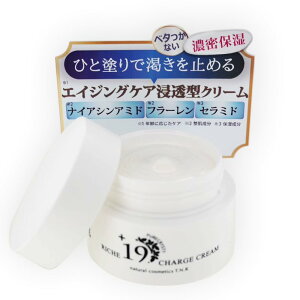 N[    Sg Ƃێ ێ ȒPێPAiCAVA~h  q GCWOPA sANXeB bV{19`[WN[