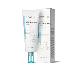 COSTOK(RXgbN) gNgNX[WOANAN[ N[ ێN[ ێ q X[WO  _ 邨 TOKTOK SOOTHING AQUA CREAM