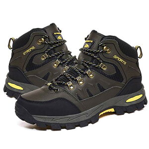 [RDGO] gbLOV[Y Y fB[X oRC nCLOV[Y AEghAV[Y h EH[LOV[Y h 傫TCY L Xj[J[ O[-1 24.5 cm