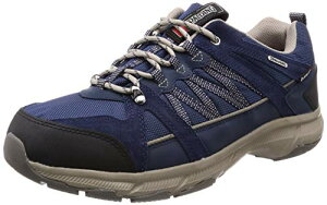 [X|fBO] Xj[J[ EH[LOV[Y h L gbLO Y fB[X 3E 4E OIN 3590 3600 12_lCr[ 24.5 cm