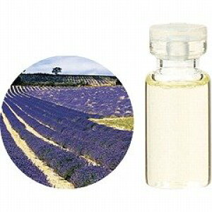 GbZVIC() x_[(tXY) 10ml y̖؁z