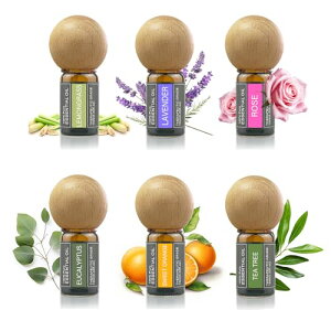 Cywinfow  A}IC 100VRAR GbZVIC 10ML (fBt[U[Zbg, XC[gIW/x_[/OX/[J/[Y/eB[c[)