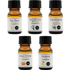 VR100% ԃGbZVIC 5Zbg e10ml eB[c[ ^x_[ [JOuX XC[gIW 