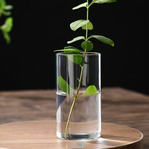 Vv KX ԕr ~` NA  Ȃ t[x[X  ֑}  傫 ^ ~^ L  V_[ ~ 10cm 12cm 15cm 20cm 25cm 30cm CeA   