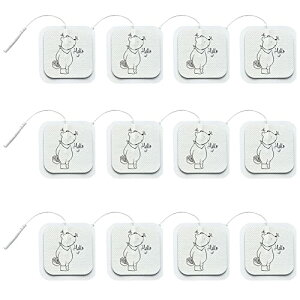 EMSpSpbh ems gp Spbh [12] pbh ems ݊Qpbh {Q̗p p^ 5*5cm MTCY