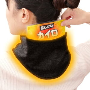 ENSEMBLY JC in lbNEH[}[ JC|Pbgt   c{ ₦ ߂  h ObY (ubN)