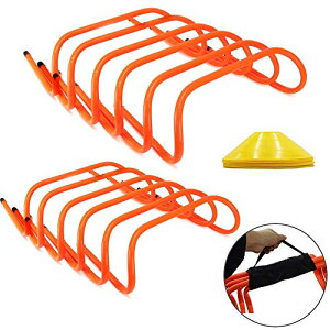 Voodans n[h g[jO Xs[hEq (16cm) (12Zbg)