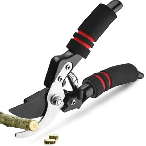 MuseNook SK5| vdl   ʎ }؂ y͂Őؒf 炩Ȑؒf iXgbp[ ol Sn̗ǂEVAObv SbNt ~  np  | (b