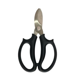 XINSHEYE oT~ |nT~ ΂ XeX| }؂oT~  |p͂ @\gQ@\t Kтɂ ₷ ~ ʎ  뉀 K[fjO ϗtA