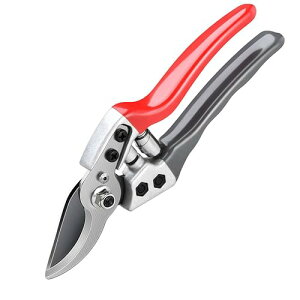 voT~y2025lCt߁z MUKAGE ΂ s؂ꖡ SK5Yf|4mmn ϋv5{Abv Kтɂ|nT~ gՂ~߃nh yʉ₷