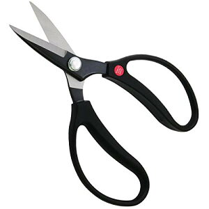 ߗ^(KONYO) K[ftY ₷A \tgnh