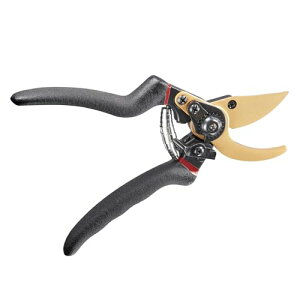 ΂ 2iK߉\ SK5| TNTN؂ ₷  ΂ }؂oT~ |nT~ ʎ  ~ 뉀 K[fjO ϗtA ( + F)