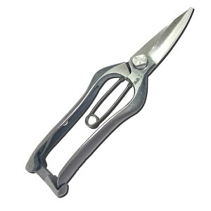 ː쏊   200~  p |p͂