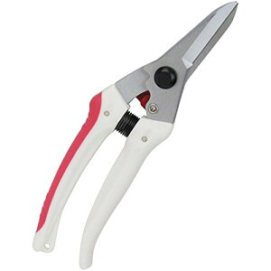 g(Senkichi) K[fؙ TbN SGP-44