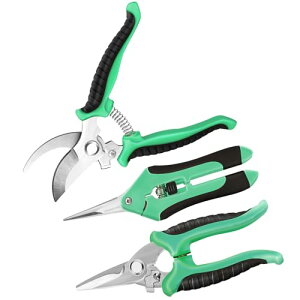 oT~ 3 ΂݁y2025lCtŐVEzYf|  |΂ }؂oT~ ؂ꖡ |nT~ SbNt  o  Kтɂ ₷ XeXX