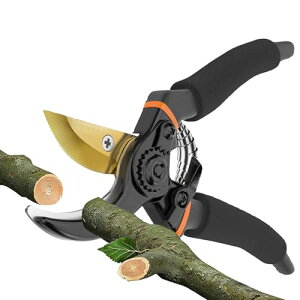 ΂ y2025lCt̂߁zJő45mm SK85Yf|n s | hK tbfR[eBO yʃA~nh bNt |pi }؃oT~ | ʎ | 