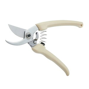  ΂ |͂ pnT~ g₷ тȂ px\ |piCt XeX͂ bN[ yʁE^ ԁEAEAEʕE |p