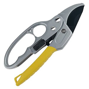 ؂΂ y͂Ő؂ `Fbg ΂ }؂΂  nT~ |nT~ ̖ ʎ ~ ΂  ^  | K[fjO ͂ 