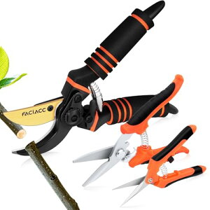 y2025lCtEzFACIACC v ΂  oT~3ZbghCcZp̗p ؂ꖡ4{bSK5Yf| `^R[eBO ϋv5{bKтɂbɂlԍHwA~