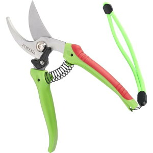 FORESIA Ƃɂy oT~ p XeX  Kтɂ ͂ S19cm nT~ Xgbvt