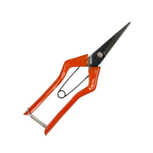 g  ݂̂ 180mm Y { A؁Eʎ̉؂ ؂̎n ؂Ԃ̓Eݎ