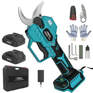 y2025ǋŁzdoT~ doT~ oT~ 18Vؒfa42mm̃R[hX[doT~ 3iKJpx߉ }L^18V݊eʃobe[t PSEF؎擾ς ؒf񐔂