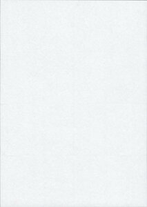 A4 �~�V���ړ���p�� 8�����i8�ʁ��c4��×��2�ʁj���� 500���b���Y�㎿�v�����^�[�p�� ���[�E�`�[�ɍœK�b�g���V�R�[�yaaatoyo com�z095-500