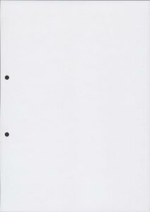 gVR[ ㎿ ʎ 2 v^[p (A4  2 100)