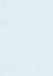 ~VړpFA4 Cgu[n͗l55kg 2^}CN~VځiCgu[n͗l2ʁj500