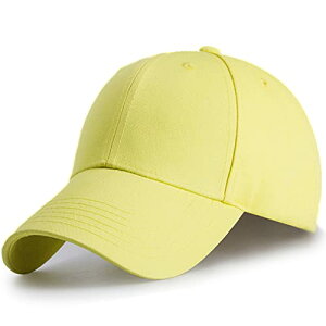 [obg] Lbv Y fB[X Xq n jp [߃^Cv 傫TCY UVJbg x[X{[Lbv 100 (L, CG[)